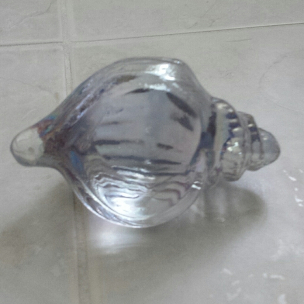 Iridescent Shell Decor - Picture 9 of 9